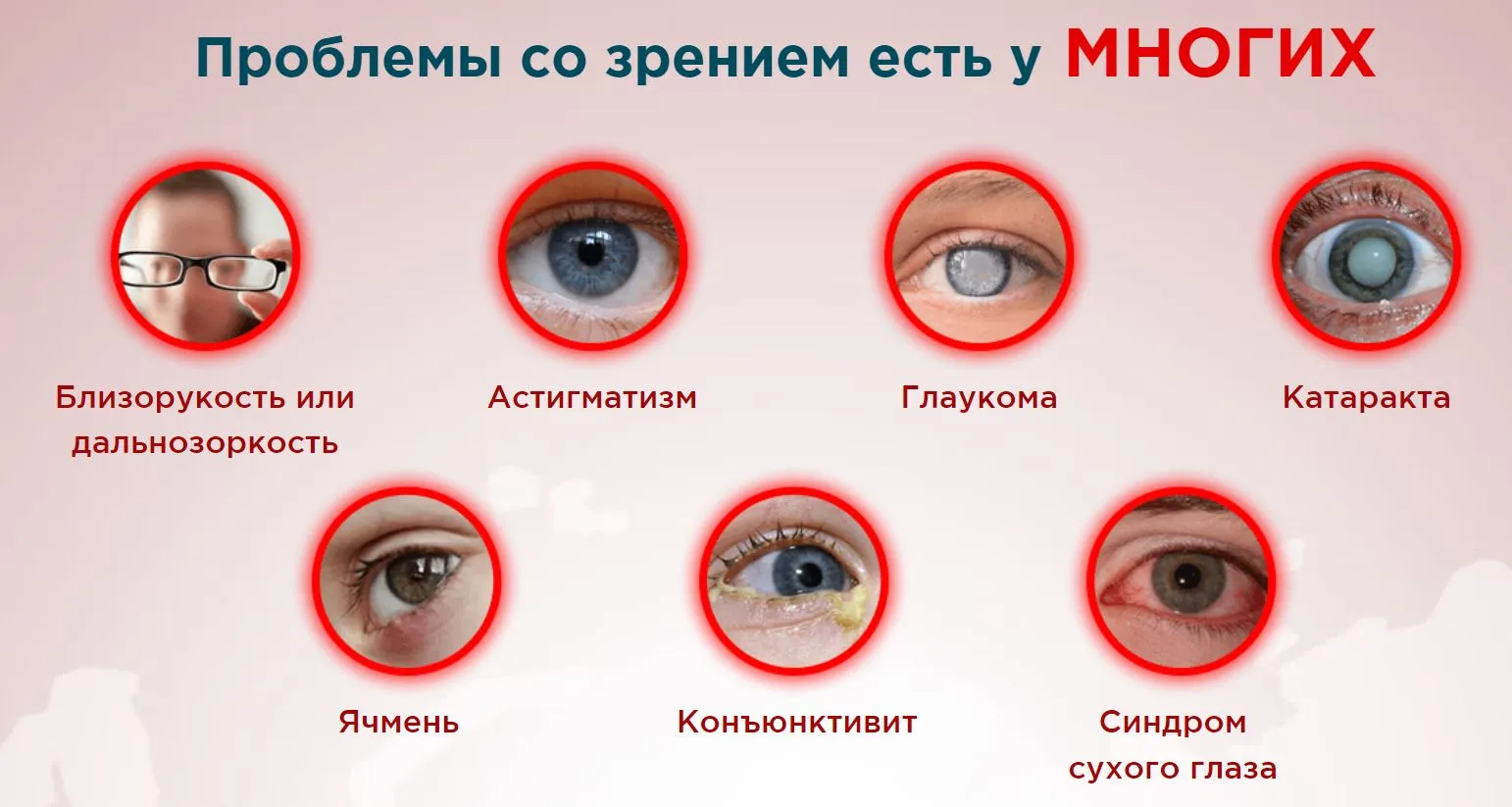 Одним из ключевых действий Ястреба является улучшение микроциркуляции крови в глазах